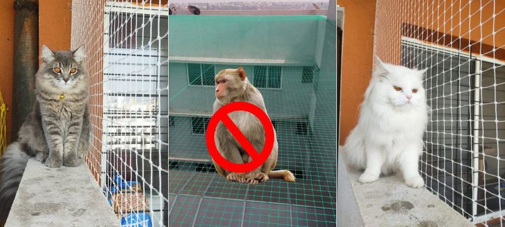 Monkey Safety Nets