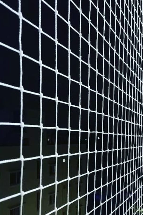 Pigeon Control Service in Chennai